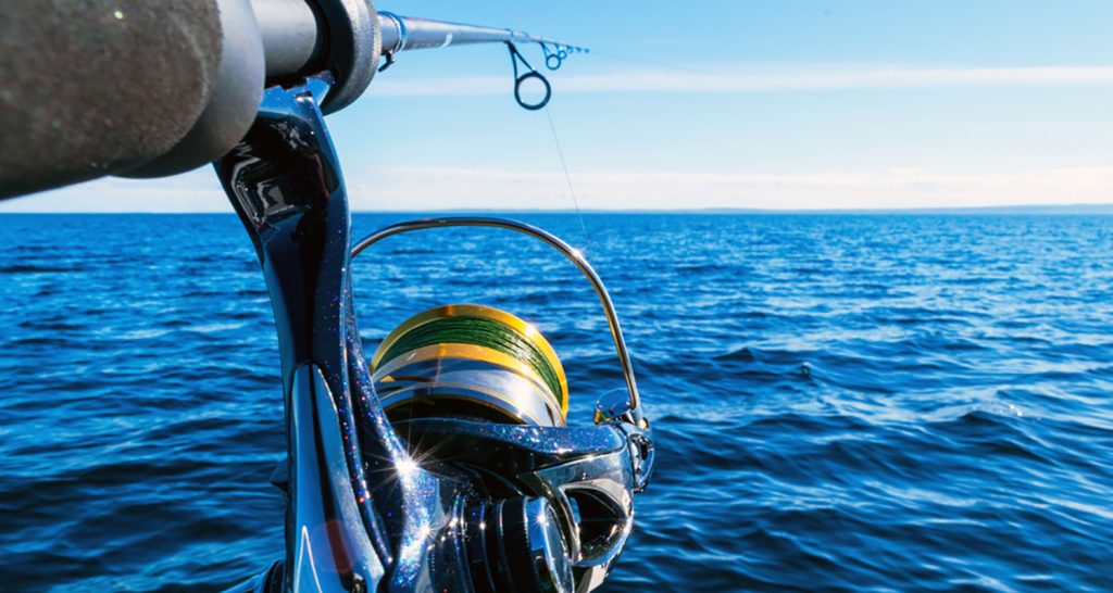 Inshore Rod And Reel Buyers Guide For Beginner Anglers